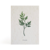 plantekort-persille